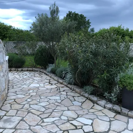 Palma *